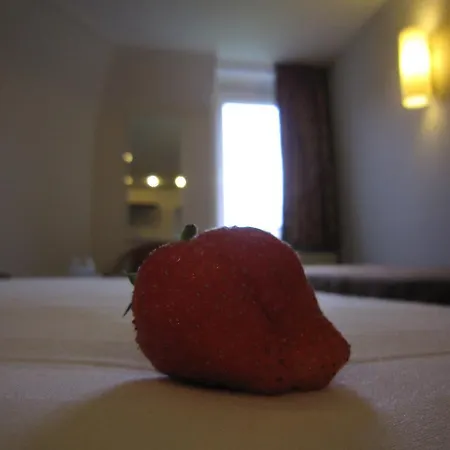 Hotel De Vrede 2*